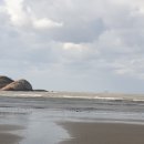 신안자연휴양림 이미지