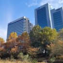 동원빌딩 | 참치와 양반만 있다고 생각하면 오산 (feat. 동원F&amp;B 취준 후기)