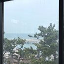 주전초등학교 | 울산 주전 대형카페 60헤르츠 내돈내산 후기