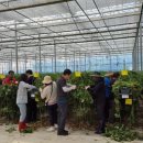 문화체육시설사업소 이미지