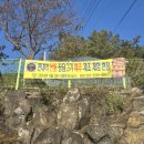 전통천내리된장