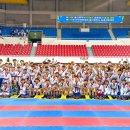 하나린태권도 이미지