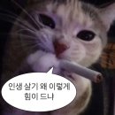 나좀사줘 이미지