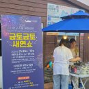 통기타(야간) | 제주 서귀포 야간명소 새연교의 야경을 배경으로 펼쳐지는 문화공연과 불꽃쇼