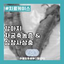 어울림동물메디컬센터 네이버블로그