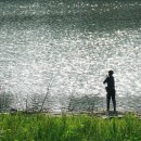 대청호반 이미지