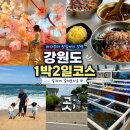 포항시수산물직판장 | 강릉 1박2일 여행코스 총정리｜아이와 함께 다녀온 가족여행 추천