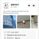 달콤하잉