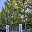 큰지붕닭갈비 | [춘천맛집]큰지붕닭갈비 추천메뉴🍗/솔직후기/주차장/디저트메뉴