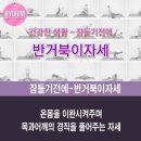 거북이 몰 이미지