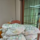 다원유통 이미지