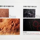 장수의료기 이미지