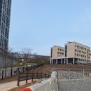 과천율목중학교 | 🎉 드디어 과천지식 정보타운 제비울천 개방: 산책 후기