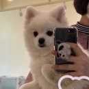 멍묭실