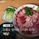 해담 | 강릉방어회 해담 내돈내산 후기 (2025년)