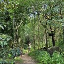 섬띠농장 이미지