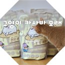 앙 | 먼지없는 고양이모래 세이오앙 카사바모래 사용후기