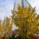 압구정-205 이미지