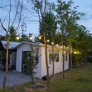 부여애견 이미지