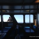 얼바인 | 미국 서부 여행｜ 뉴포트비치 고래투어 후기, LA 근교 여행, 얼바인 근교 여행