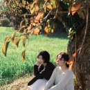 우정목장 이미지