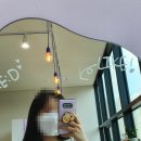 라이크디