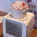 매화상회 | 2026 week 08 / 매화가 피네. 이재모웨이팅 928번