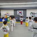 용인대백호태권도장 이미지