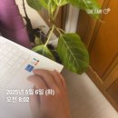 5월 일상 열심히 살면 복이 오겠지 ? 🩵