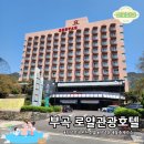 부곡중앙로 | 창녕 유채꽃 축제 숙소 추천! 부곡 로얄관광호텔 키즈룸 가족탕 대만족 후기