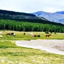 쉴만한 물가로 이미지