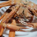 현강약국 이미지