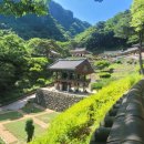 청량사 입구 이미지