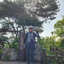 배티로 | 금북정맥[錦北正脈] 제02구간[배티고개~서운산(인증)~ 위례산(인증)~유왕골고개] 등산 후기(2026. 05. 17.)