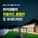 위클라드 커플 풀빌라 이미지