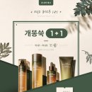 미샤코스메틱