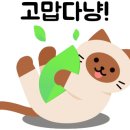 수원-0859 이미지