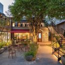 포레스타 이미지