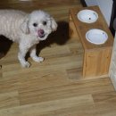 빨봉분식복닥찜닭지산점 이미지