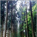 (주)다원 이미지
