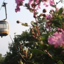 팔공산케이블카 이미지