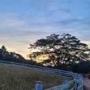 유연목장 이미지