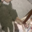 파스쿠치남산역점 이미지