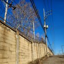 용산-현장-1986 이미지