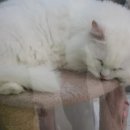 그래도마트 이미지