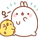 산야초국수