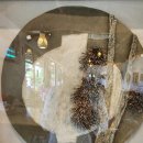 세계농약사 이미지