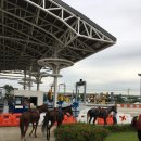 양감농장 이미지