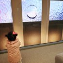 씨디씨어린이치과의원 이미지