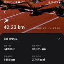 최광일2/42k/63km(갈매기언택트)1375 이미지